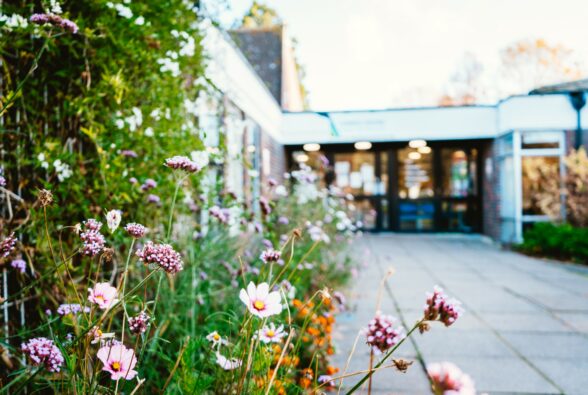 Picture of entrance to Harris building with spring flowers on the left side